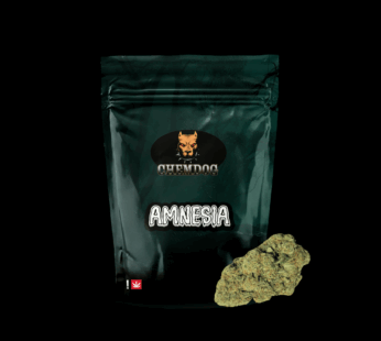 Amnesia OG Kush